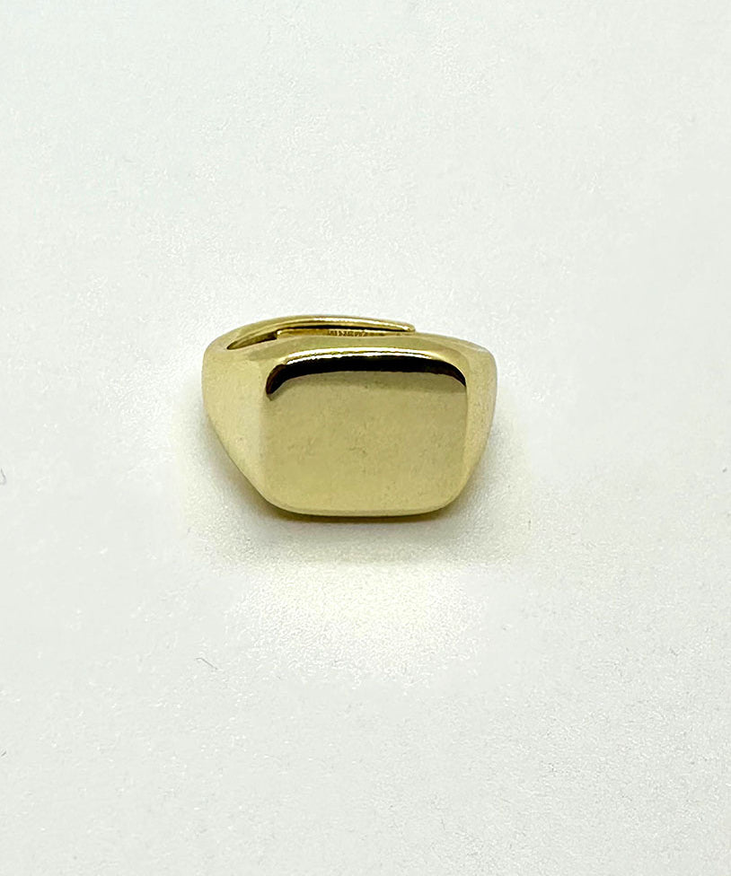 AN00059G3.jpg