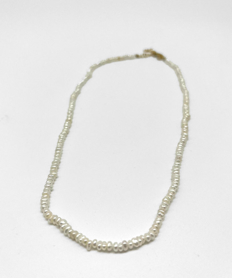 GC00120-1.jpg