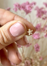 Gardenia