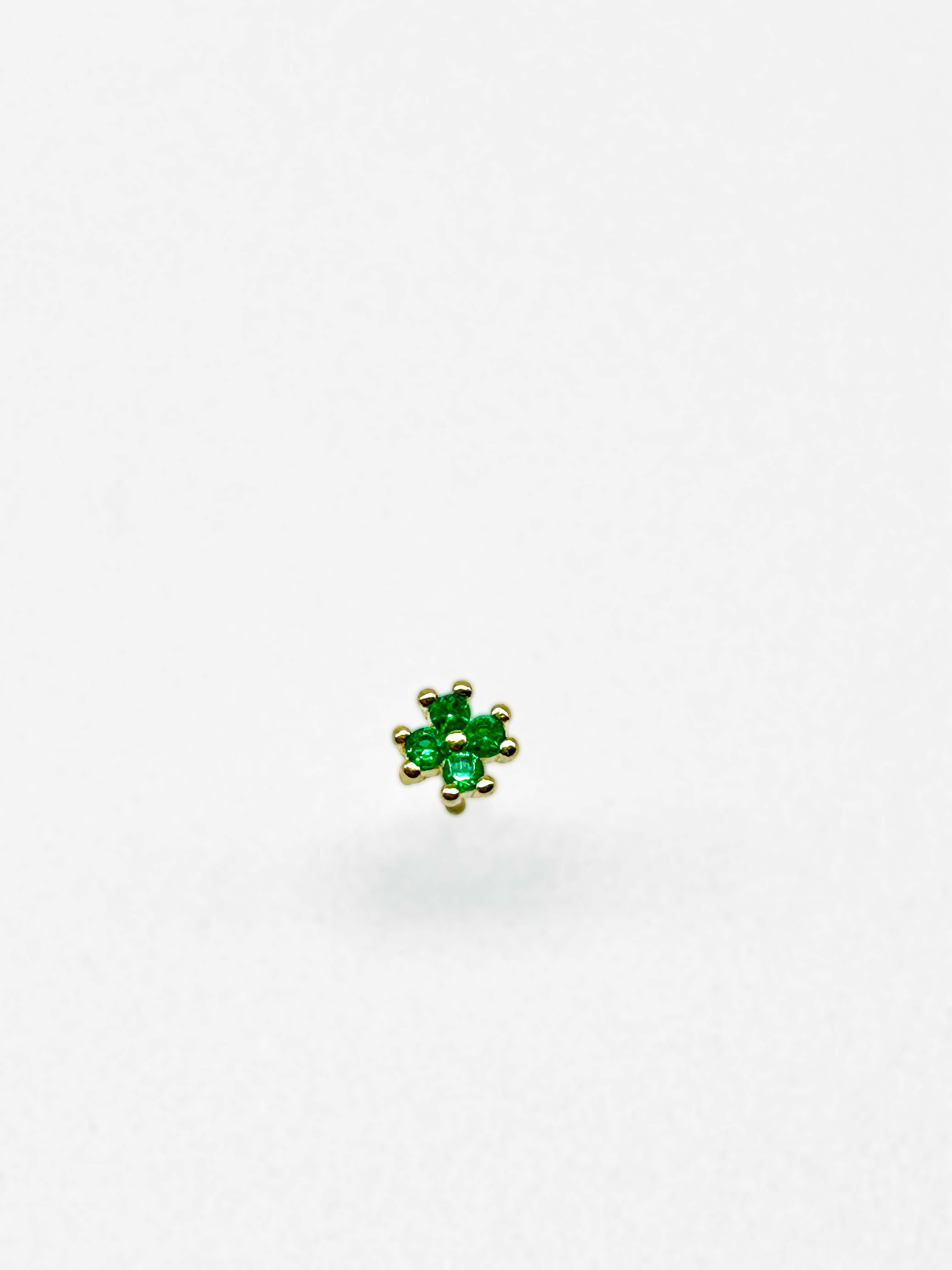 Flora