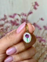 Rosa Lilla S