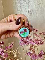Limonium - Round