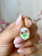 Aster M