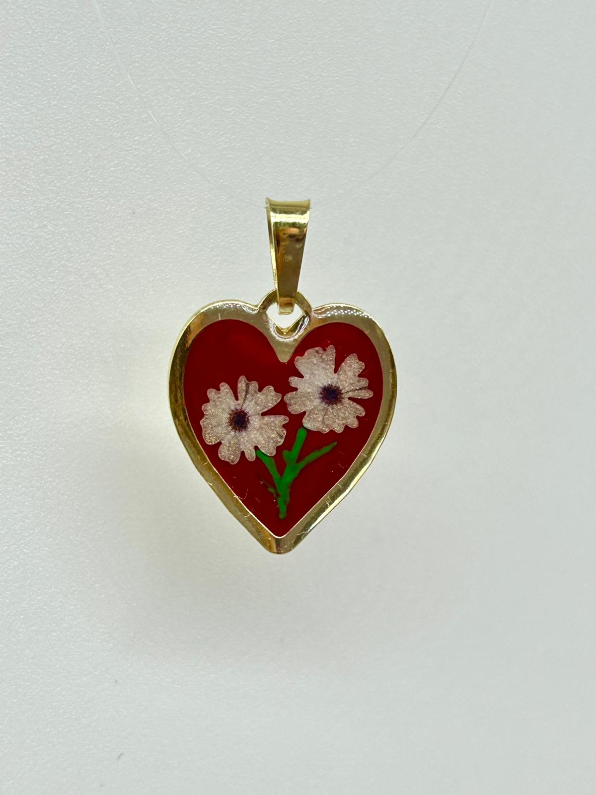 Aster Cuore