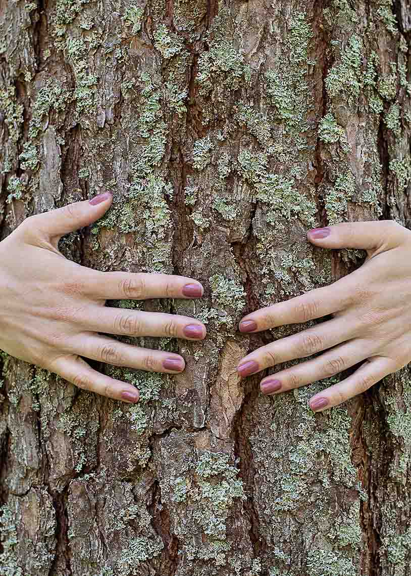 tree-hugger.jpg