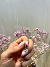 Tulipano azzurro